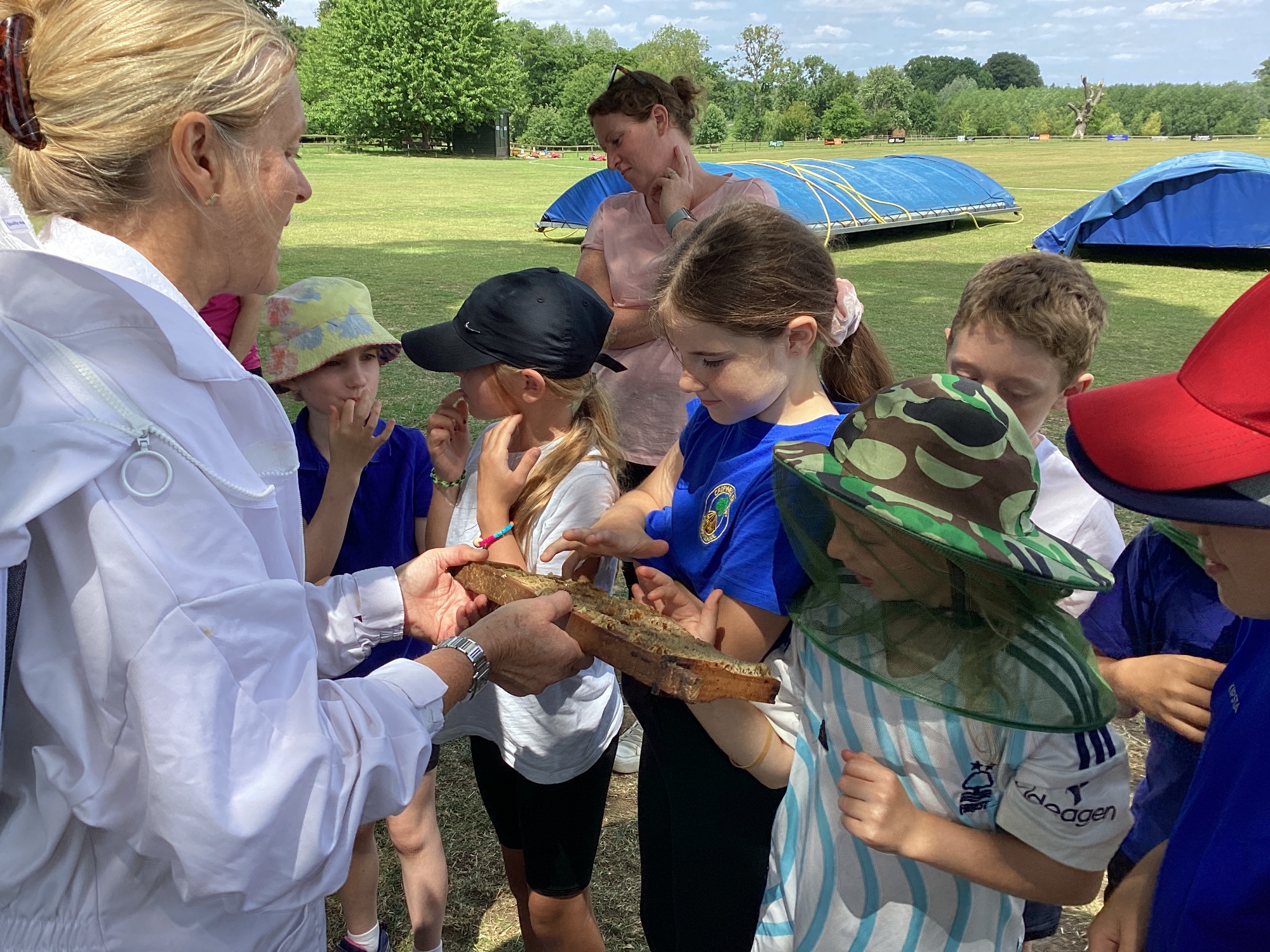 Beekeeper showing children honey in the honeycomb