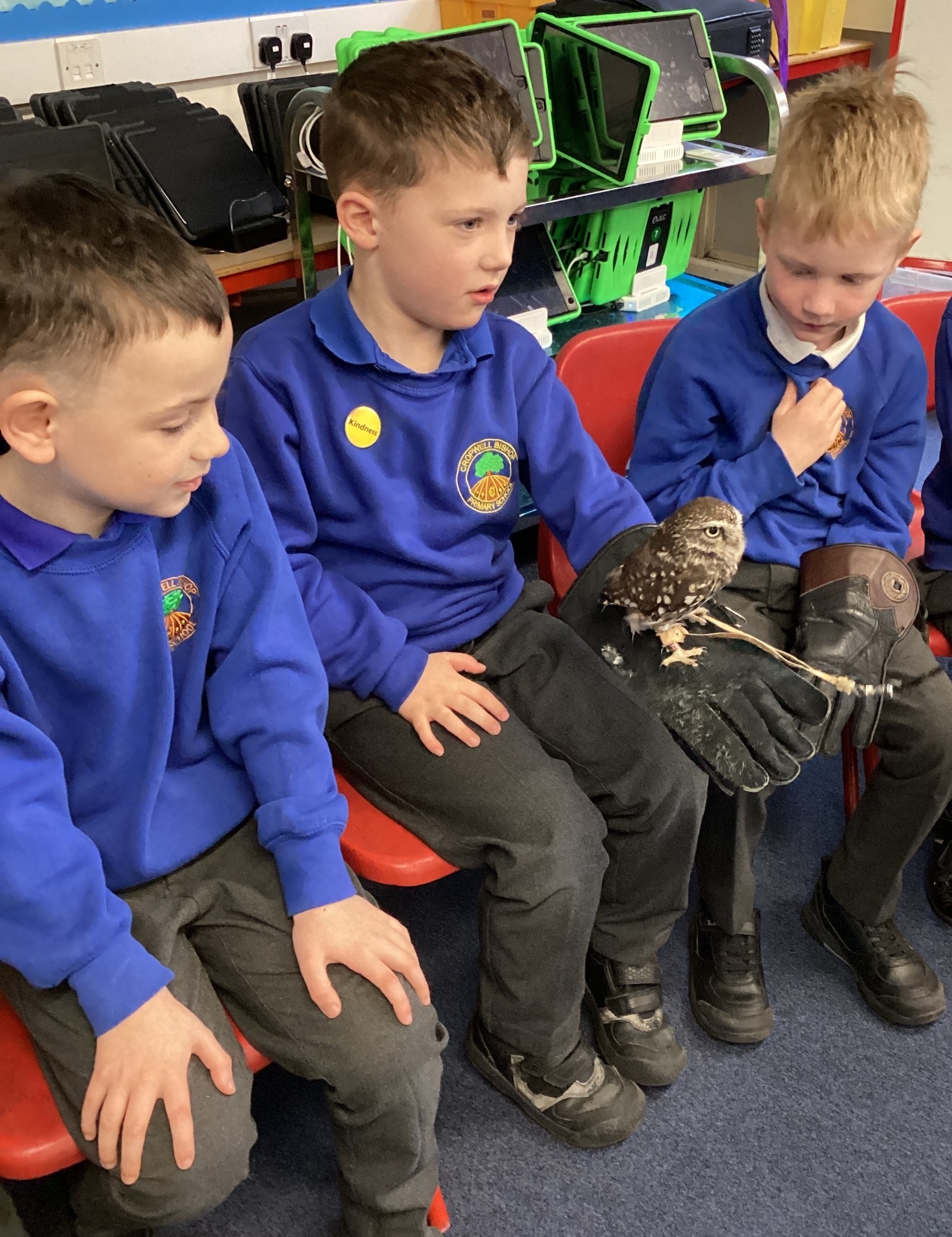 Year 1 children with an Owl